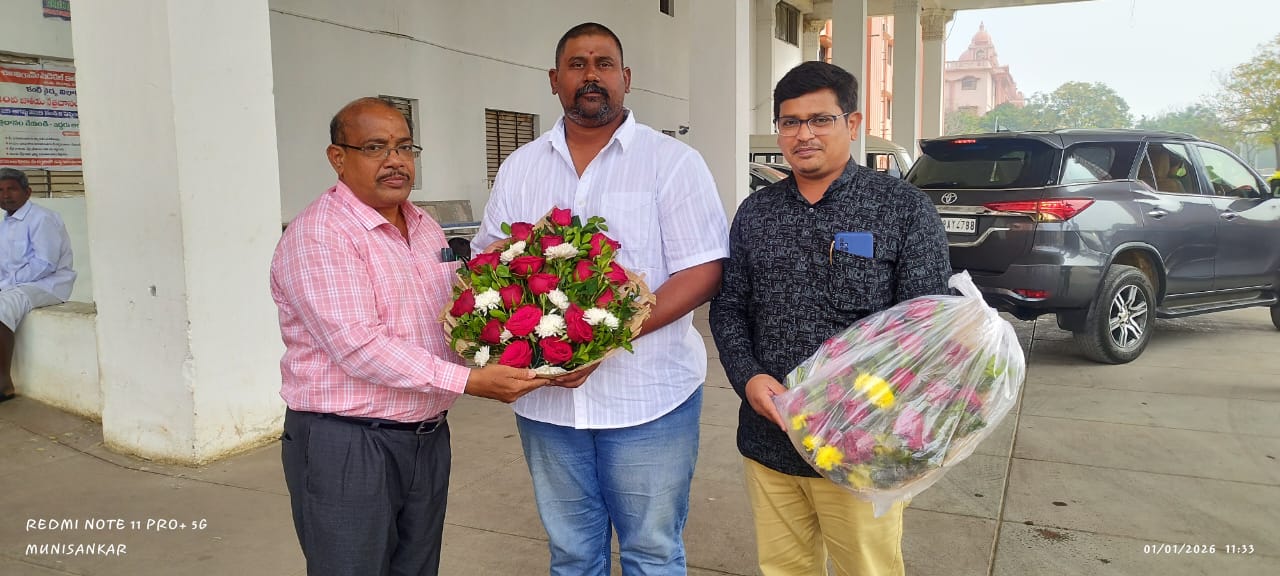 New Year Celebrations 2026